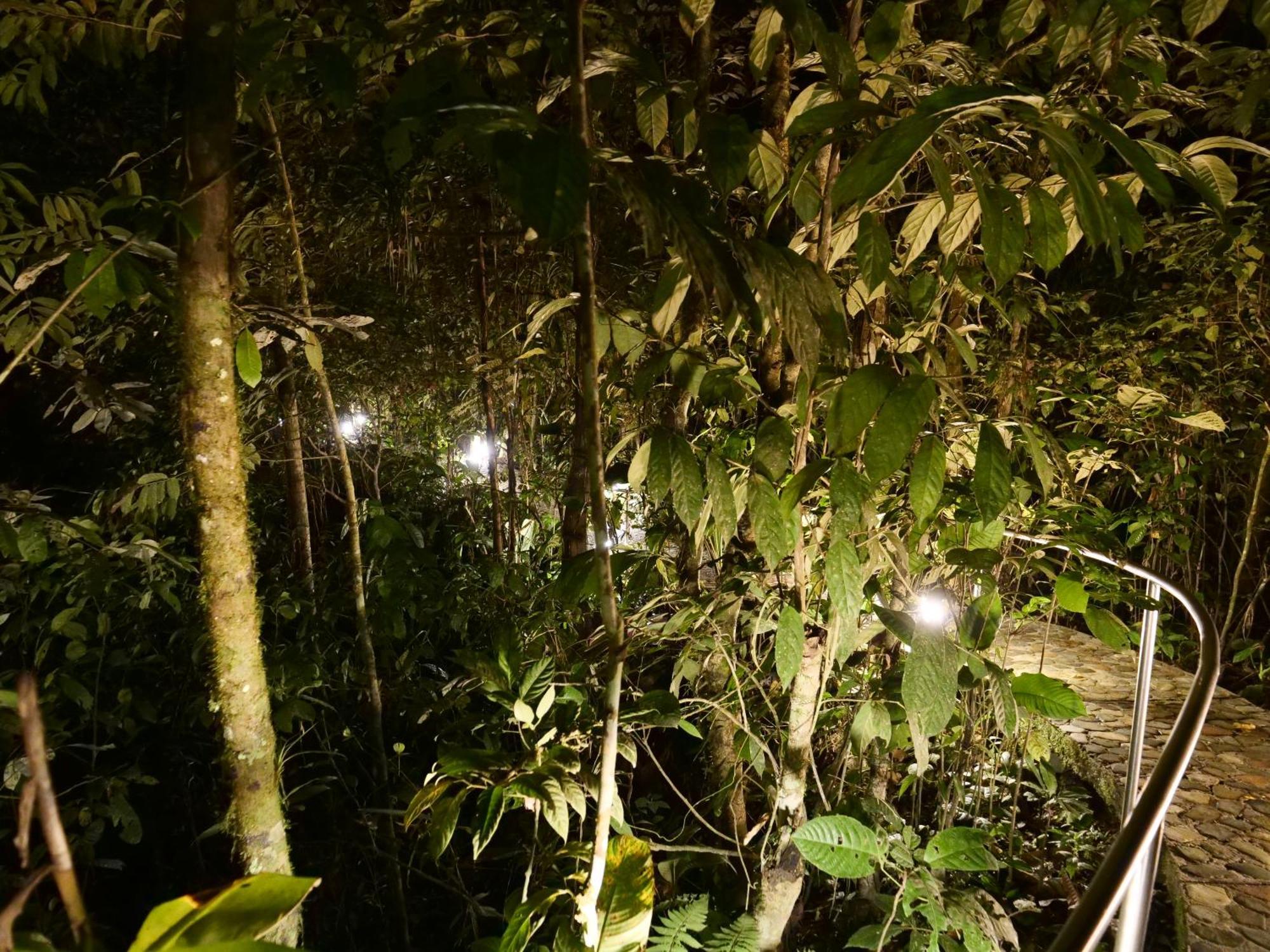 Arahuana Jungle Resort&Spa Tena Exterior foto
