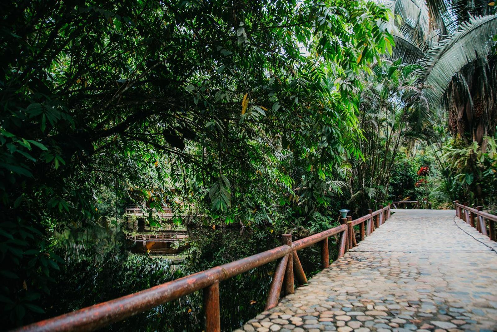 Arahuana Jungle Resort&Spa Tena Exterior foto