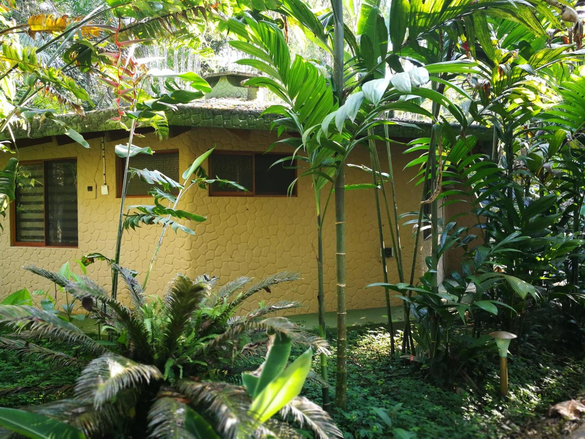 Arahuana Jungle Resort&Spa Tena Exterior foto