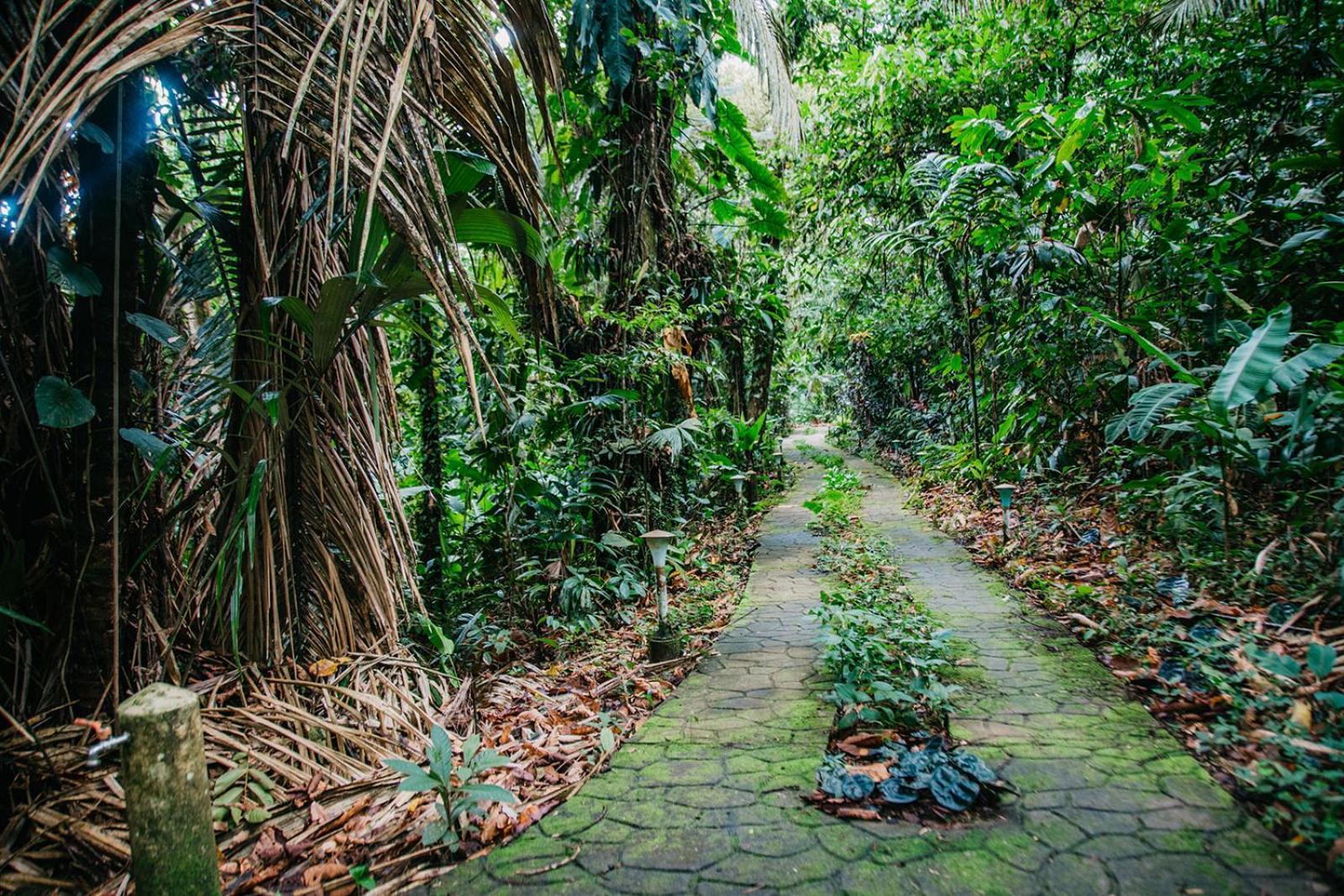 Arahuana Jungle Resort&Spa Tena Exterior foto